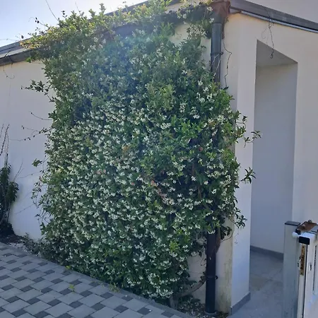Olea Apartment