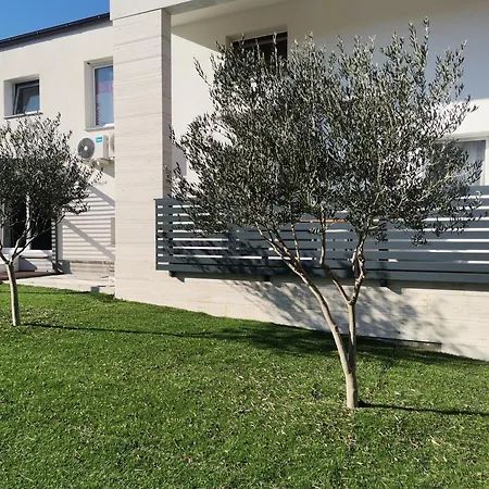 Apartment Olea